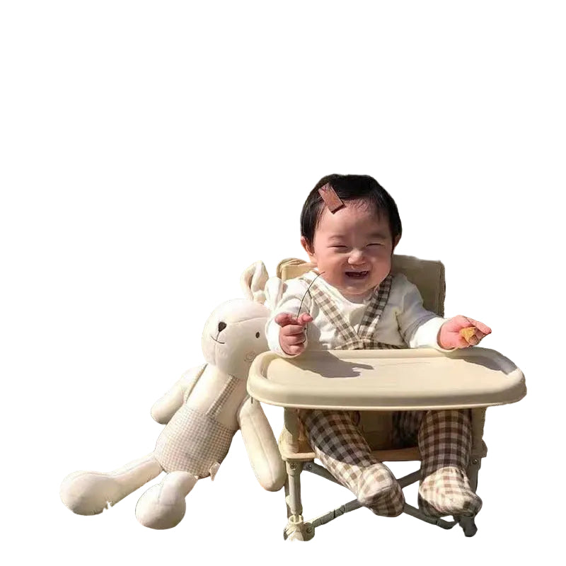 3-in-1 Baby Potty Training Toilet Ladder