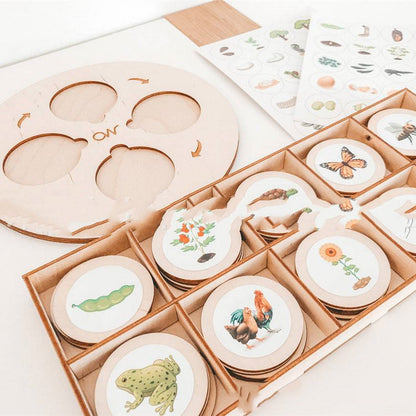 Montessori Life Cycle Tray Play Set