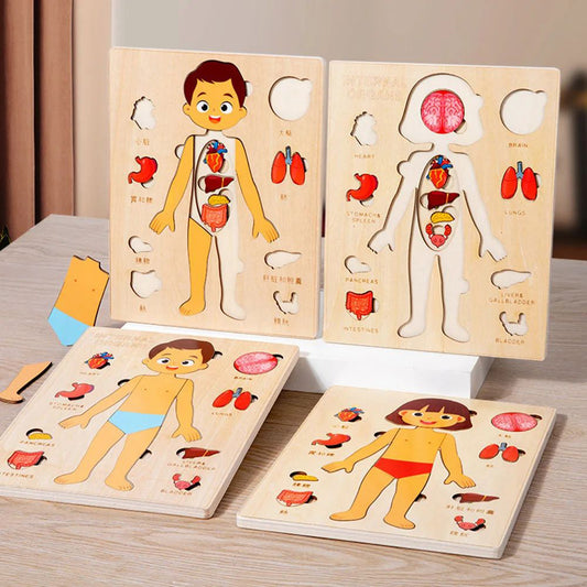 Wooden Montessori Human Body Organs Puzzle for Kids