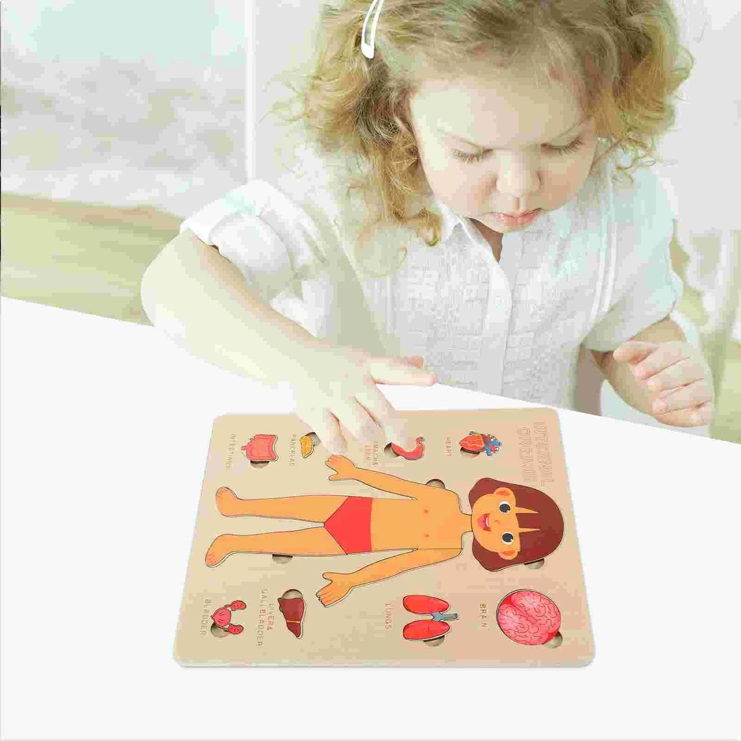 Wooden Montessori Human Body Organs Puzzle for Kids