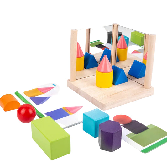 Geometric Shape Cognitive Spatial Training Toy
