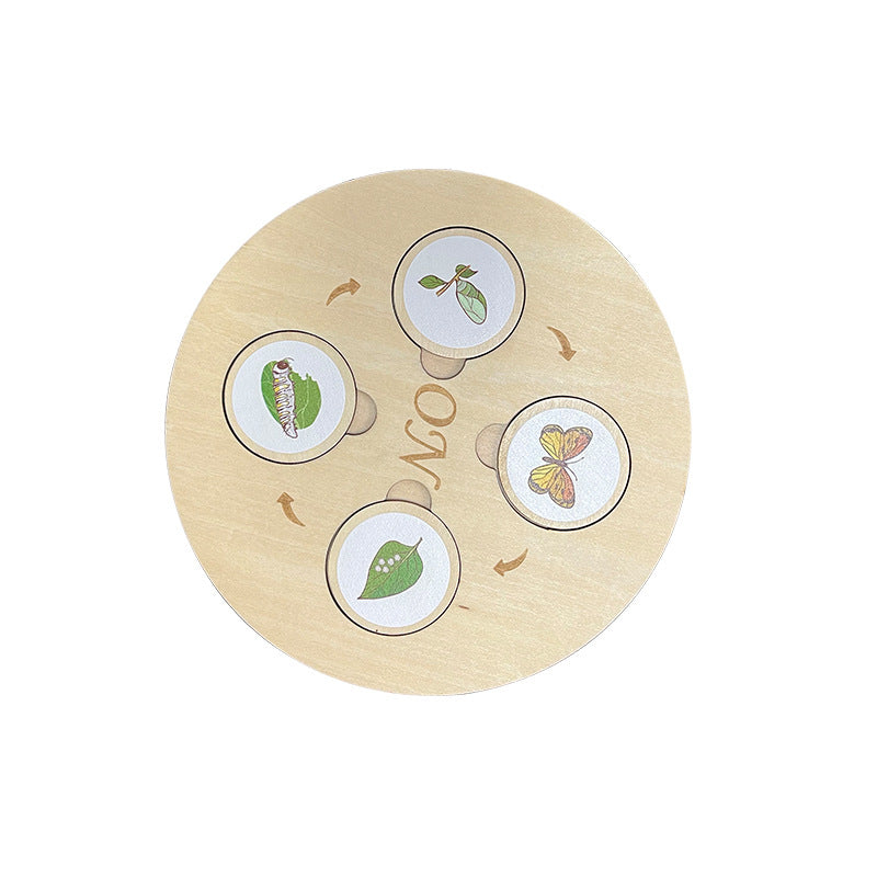 Children's Life Cycle Wooden Puzzle Toy