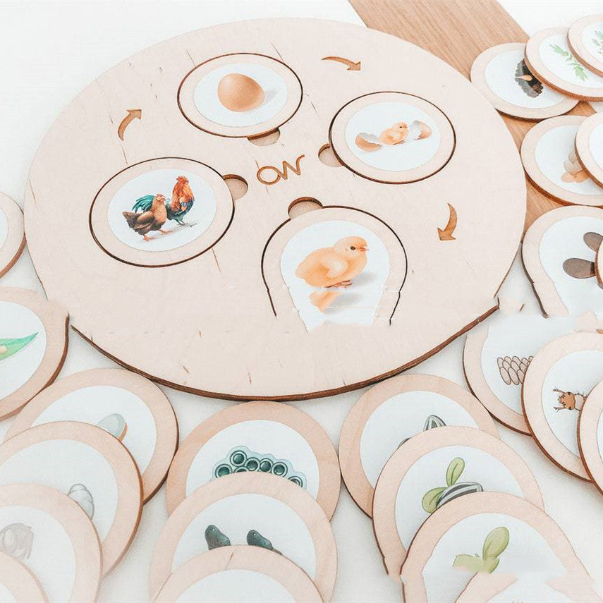 Montessori Life Cycle Tray Play Set