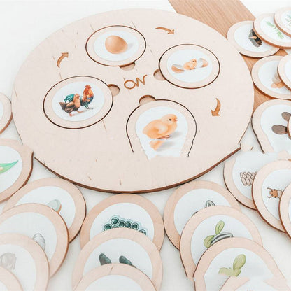 Montessori Life Cycle Tray Play Set