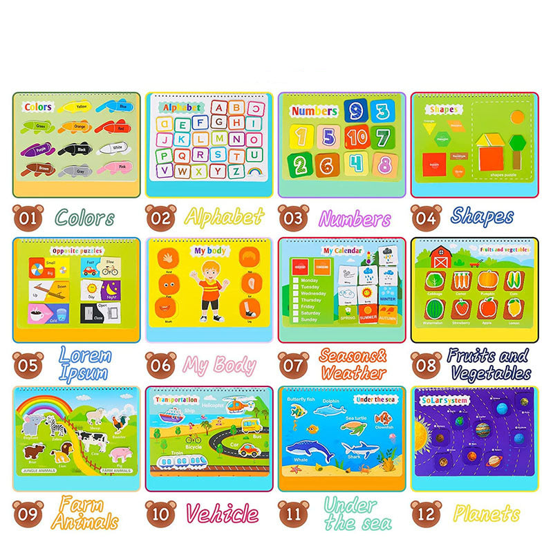 Early Education Flip Book Toy