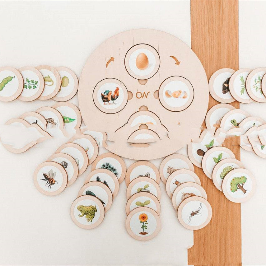 Montessori Life Cycle Tray Play Set