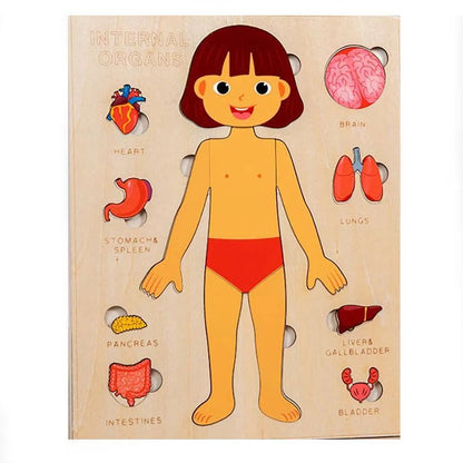 Wooden Montessori Human Body Organs Puzzle for Kids