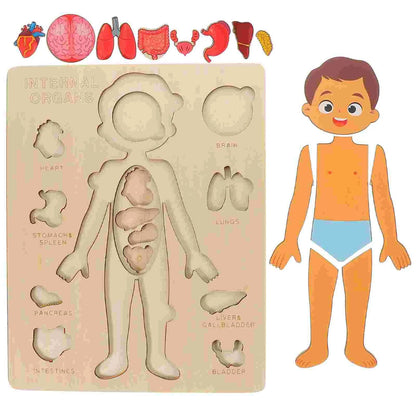 Wooden Montessori Human Body Organs Puzzle for Kids